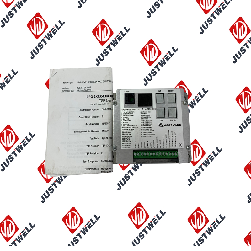 Woodward 9904-041 Ignition System