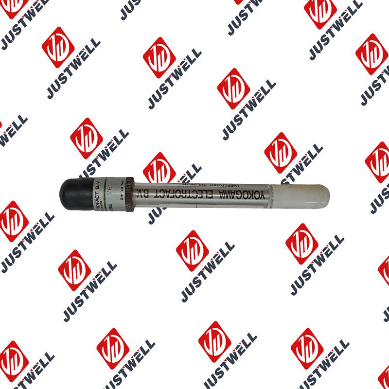 YOKOGAWA SM60 Temperature Electrode Sensor